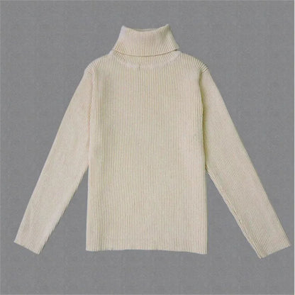 CozyKnit Turtleneck Sweater